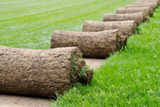 NC Greenkeeping: An Introduction NC Greenkeeping: An Introduction