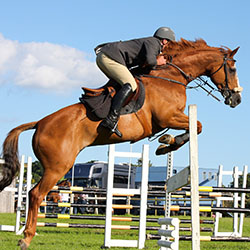 NPA Racehorse Exercise and Performance at SCQF level 5
