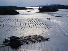 HNC Fish Farming HNC Fish Farming