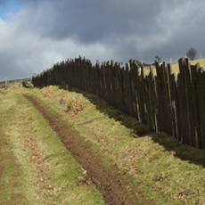 SVQ Rural Land Use and Management SCQF level 8 SVQ Rural Land Use and Management SCQF level 8