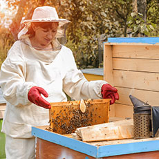 NPA Beekeeping SCQF level 5