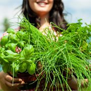 Agriculture & Environment