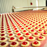 Rows of biscuits being made in factory